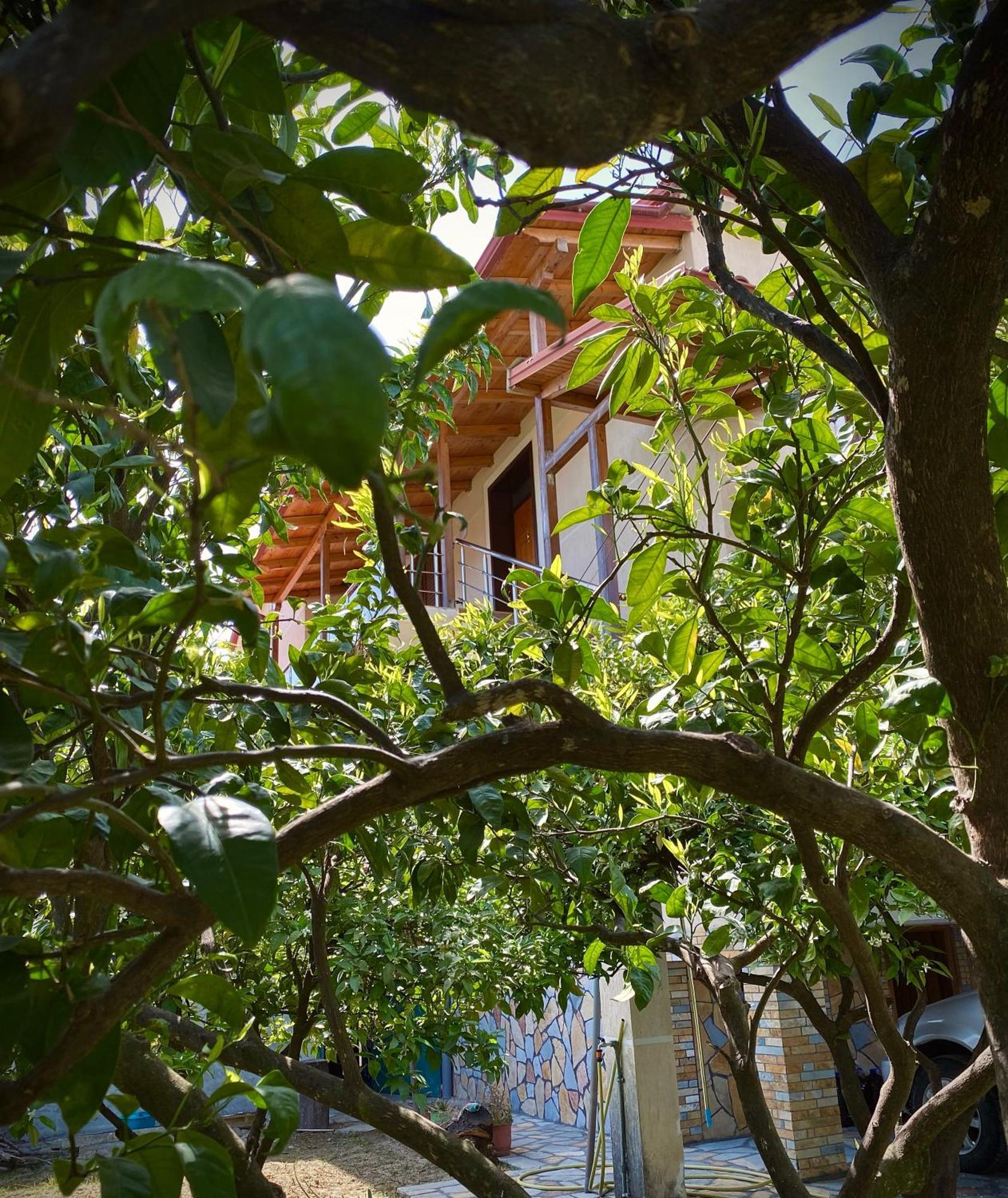 Villa Berat Dış mekan fotoğraf